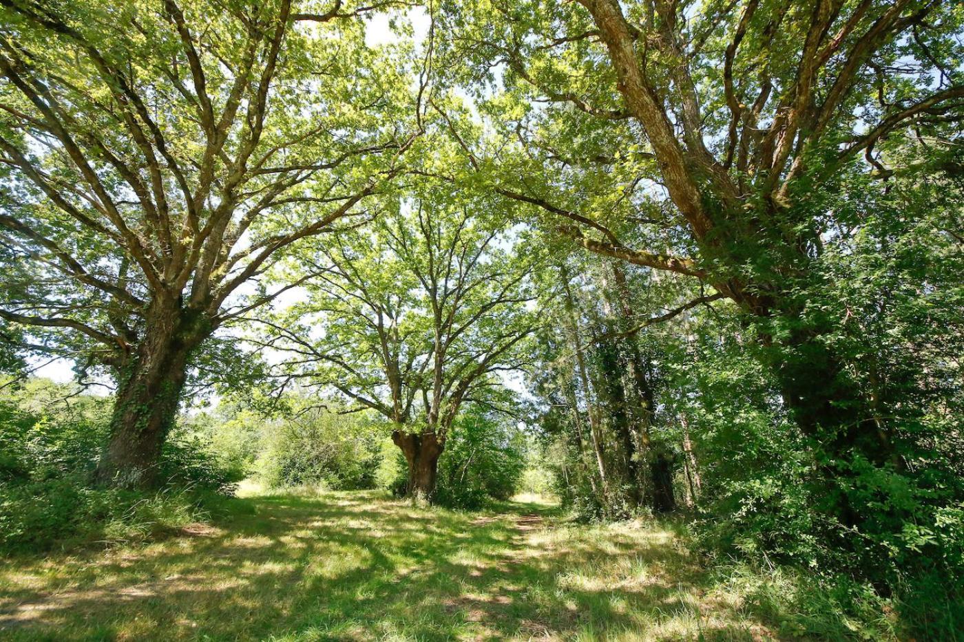 Domaine La Faix, Gite La Chouette Saint-Plaisir Extérieur photo
