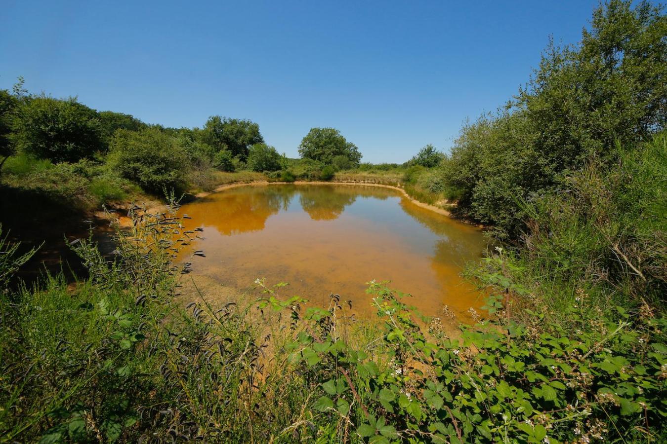 Domaine La Faix, Gite La Chouette Saint-Plaisir Extérieur photo